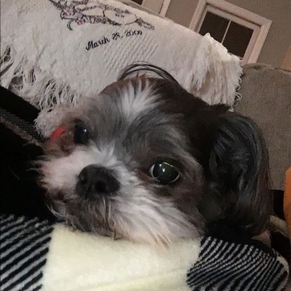 Meet your Posher, Bethany